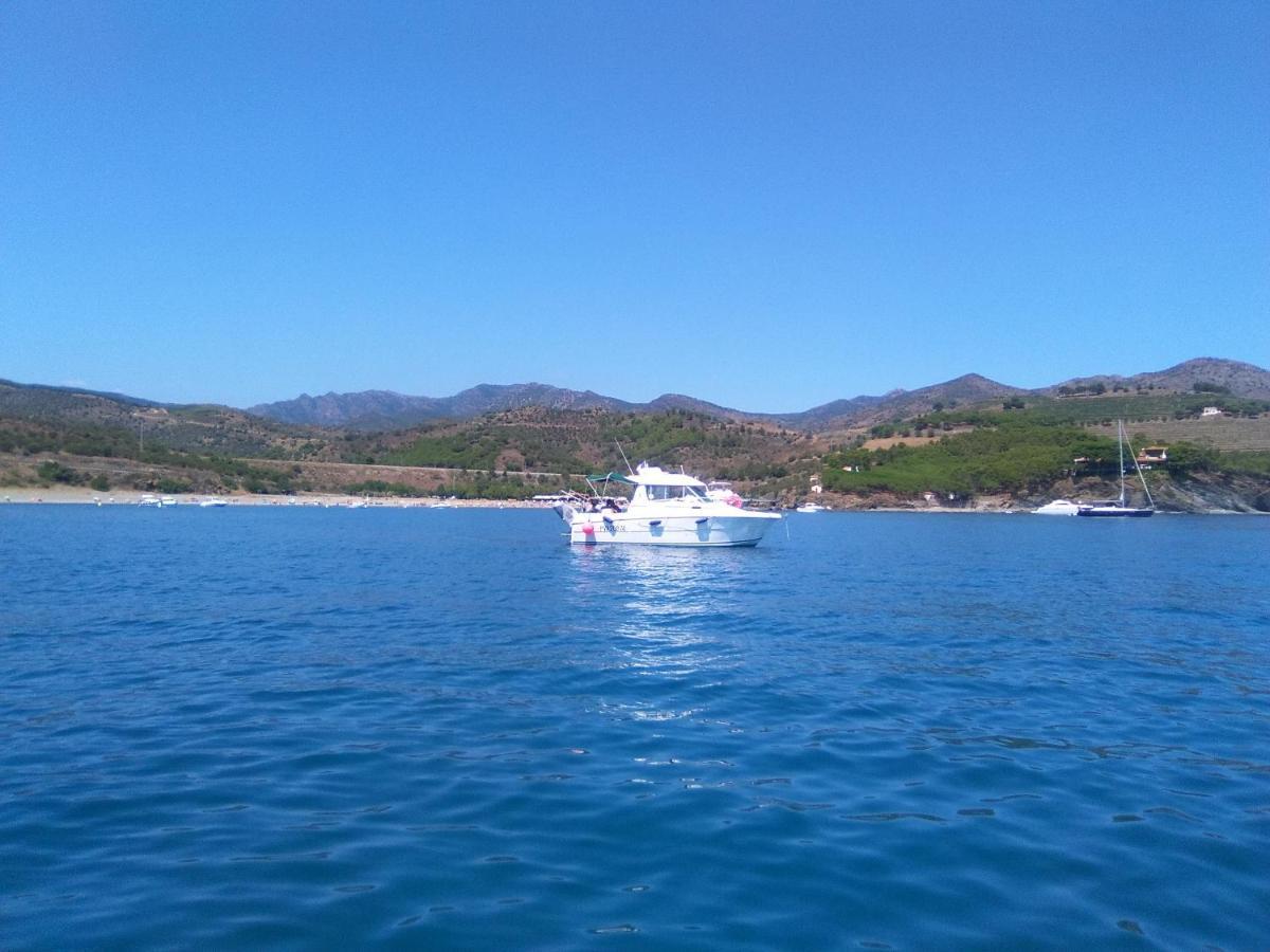 Ca La Nuri Pis 2 Con Vistas Al Mar Διαμέρισμα Llança Εξωτερικό φωτογραφία